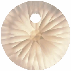 Swarovski Pendants Xilion Round (6428) Light Colorado Topaz(Swarovski 6428 Pendants Xilion Round Light Colorado Topaz)
