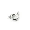 Silver Plated Bolt Ring Clasp(Silver Plated Bolt Ring Clasp) 2 Silver Plated Bolt Ring Clasp(Silver Plated Bolt Ring Clasp) -BlueStreak Crystal Shop Silver Plated Bolt Ring Clasp