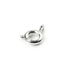 Silver Plated Bolt Ring Clasp(Silver Plated Bolt Ring Clasp)
