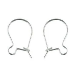 Silver Plated Kidney Wire Ear Wires(Silver Plated Kidney Wire Ear Wires)