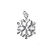 Sterling Silver (925) Snowflake Charm(Sterling Silver 925 Snowflake Charm)