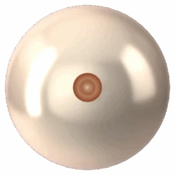 Serinity Pearls Round Half Drilled (5818) Crystal Creamrose(Serinity 5818 Round Pearls Half Drilled Crystal Creamrose Pearl) 7 Serinity Pearls Round Half Drilled (5818) Crystal Creamrose(Serinity 5818 Round Pearls Half Drilled Crystal Creamrose Pearl) -BlueStreak Crystal Shop Swarovski Pearls Round Half Drilled 5818 Crystal Creamrose 3