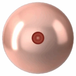 Serinity Pearls Round Half Drilled (5818) Crystal Peach(Serinity 5818 Round Pearls Half Drilled Crystal Peach Pearl) -BlueStreak Crystal Shop Swarovski Pearls Round Half Drilled 5818 Crystal Peach 3