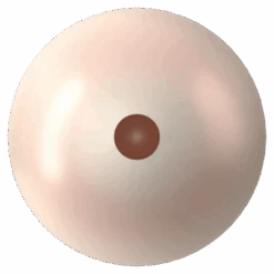 Swarovski Pearls Round Half Drilled (5818) Crystal Pearlescent White(Swarovski 5818 Round Pearls Half Drilled Crystal Pearlescent White Pearl) -BlueStreak Crystal Shop Swarovski Pearls Round Half Drilled 5818 Crystal Pearlescent White 3